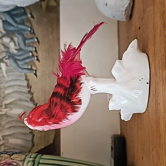 Red 🪭 CARDINAL bird 🌹 - Picture 6 of 10